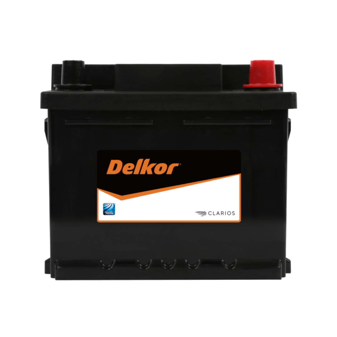 Delkor Calcium 54316 at Signature Batteries