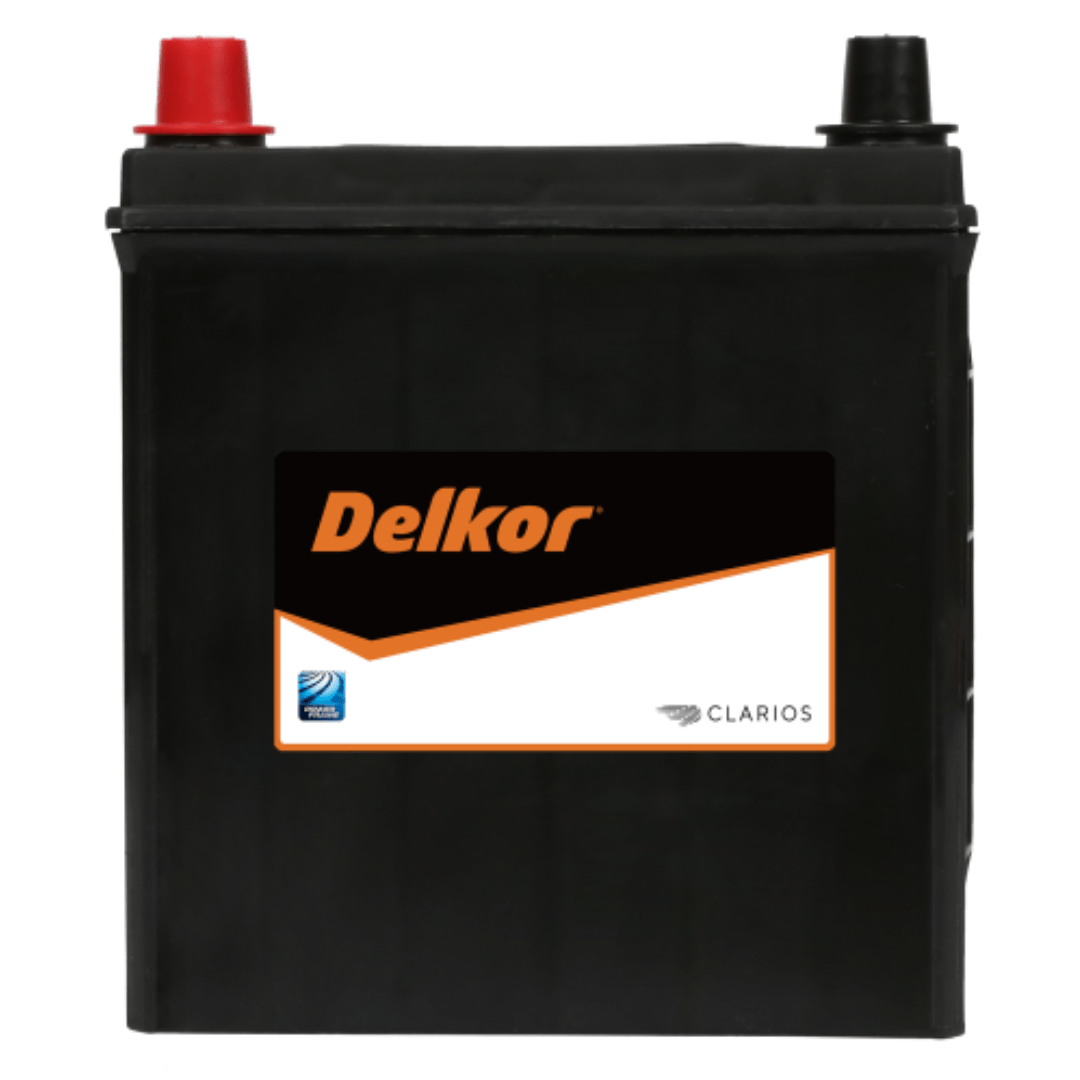 Delkor Calcium NS40ZSMF