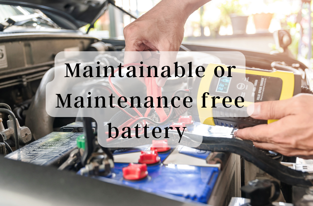 Maintainable or Maintenance free battery - Got Confused